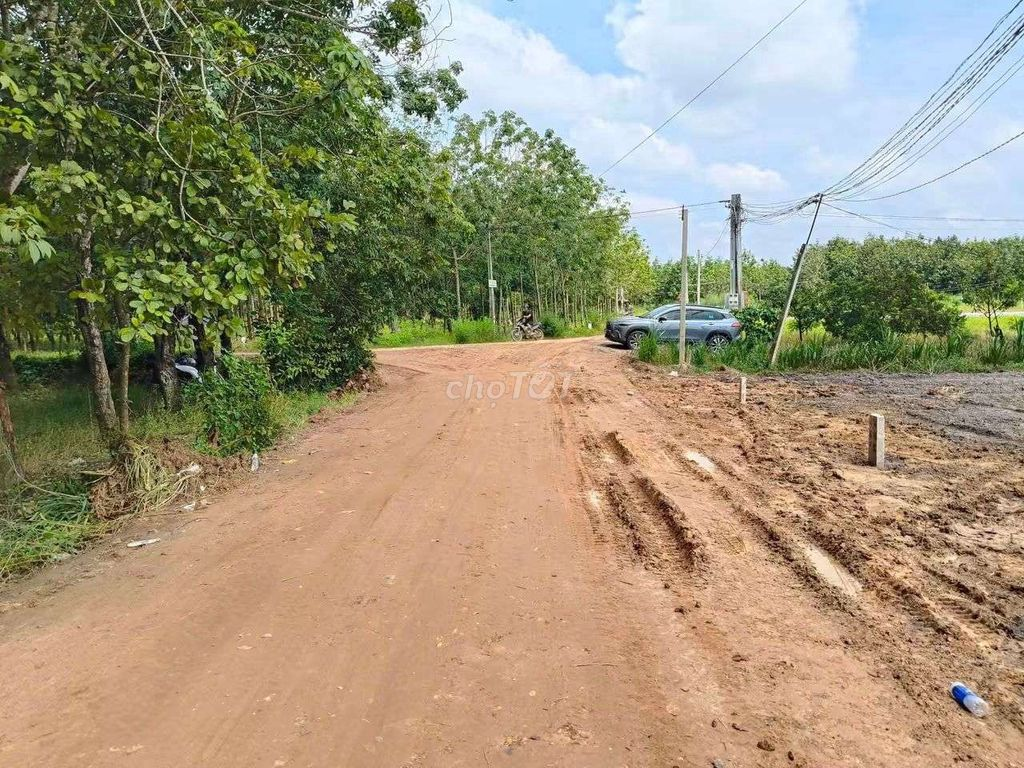 đất 129tr dt 5x40m thổ cư 60m2 ấp đồng dài xã Thạnh Bình, Tây Ninh