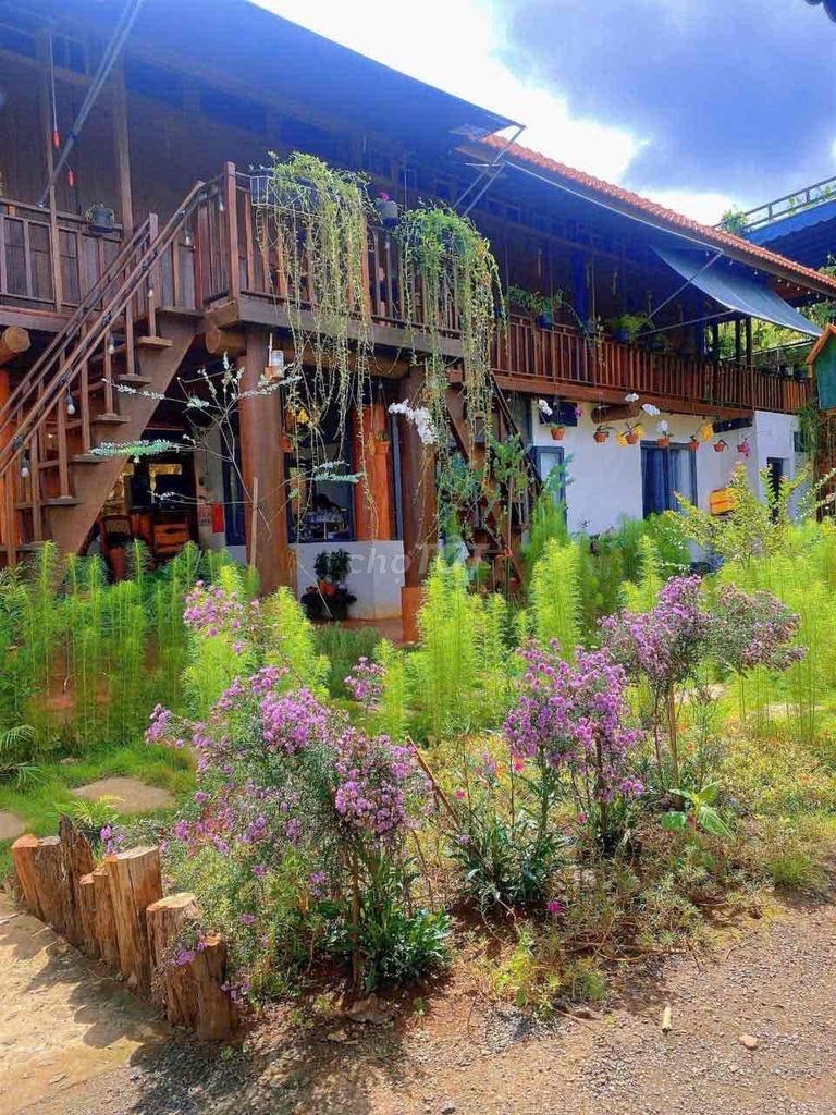 Homestay view đồi hoàng hôn cuối Nguyễn Hữu Thấu 17x20m giá 7,9 tỷ - Ảnh 1