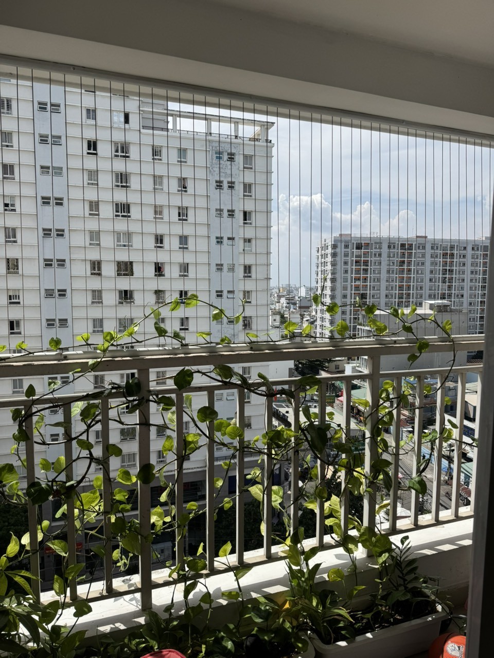 Bán Căn hộ chung cư 71m2 giá 3.7 tỷ tại Đường Trịnh Đình Thảo Phường Hòa Thạnh Quận Tân Phú TP. Hồ Chí Minh - Ảnh 7