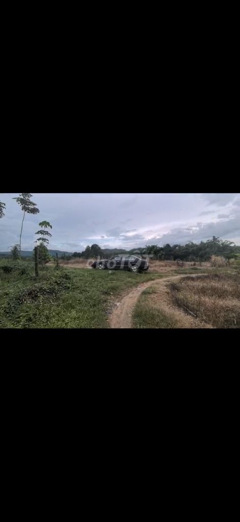 Bán Gấp đất view đẹp có suối,ngay hồ Đạ tẻh.Giá rẻ - Ảnh 5