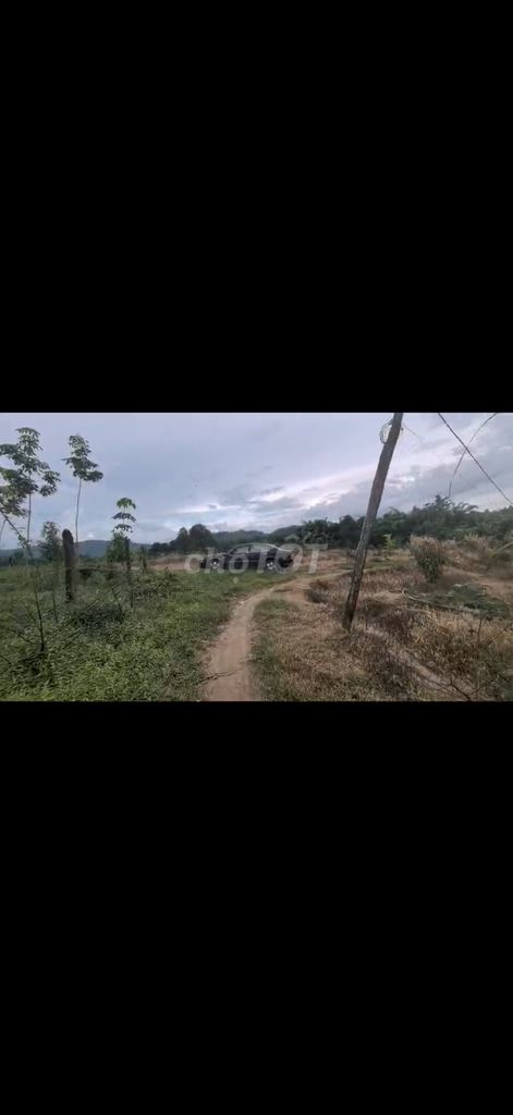 Bán Gấp đất view đẹp có suối,ngay hồ Đạ tẻh.Giá rẻ - Ảnh 7