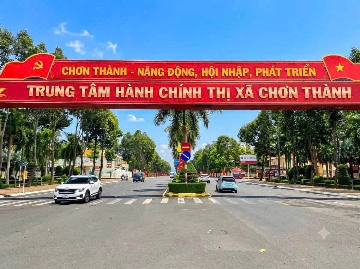 BÁN GẤP 3.000M2 GIÁ 195 TRIỆU, ĐẤT MT GẦN CHỢ, SỔ HỒNG RIÊNG ☎️ 0969.950.161 ( Gặp Chủ ) - Ảnh 2