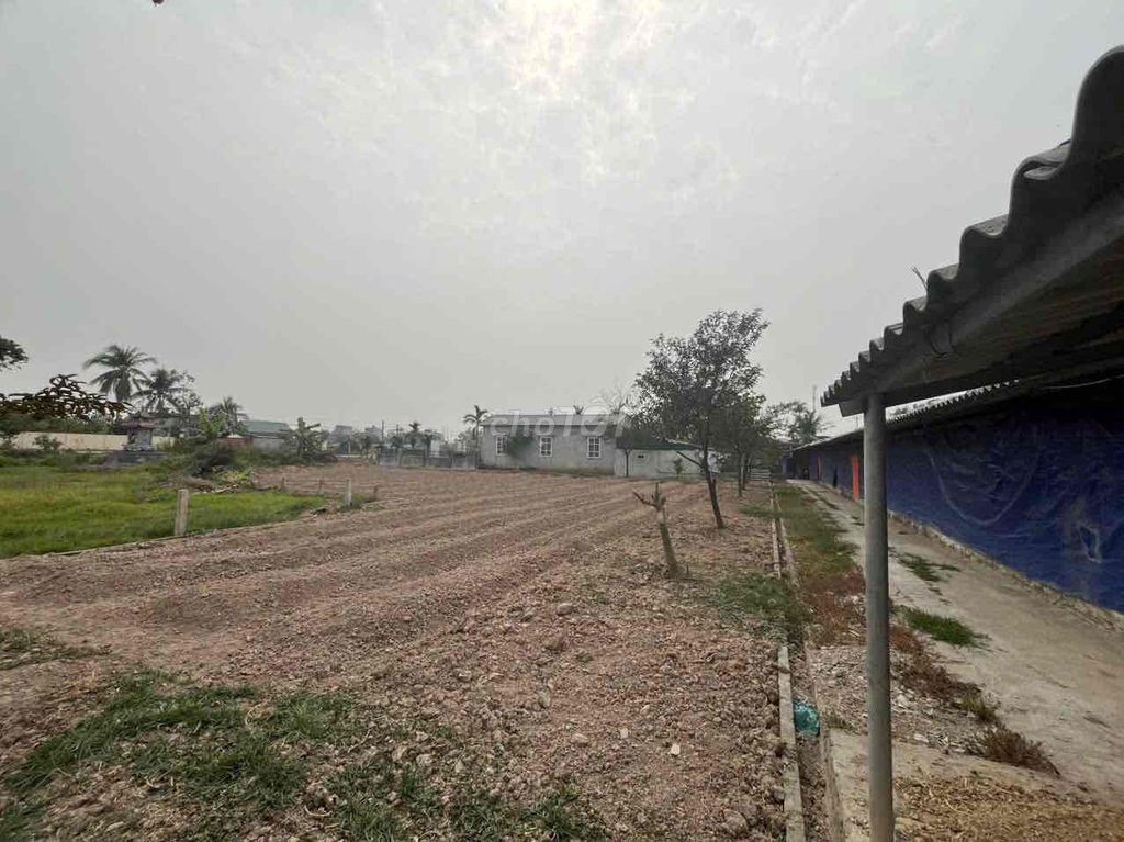 Nhà cho thuê - Ảnh 3
