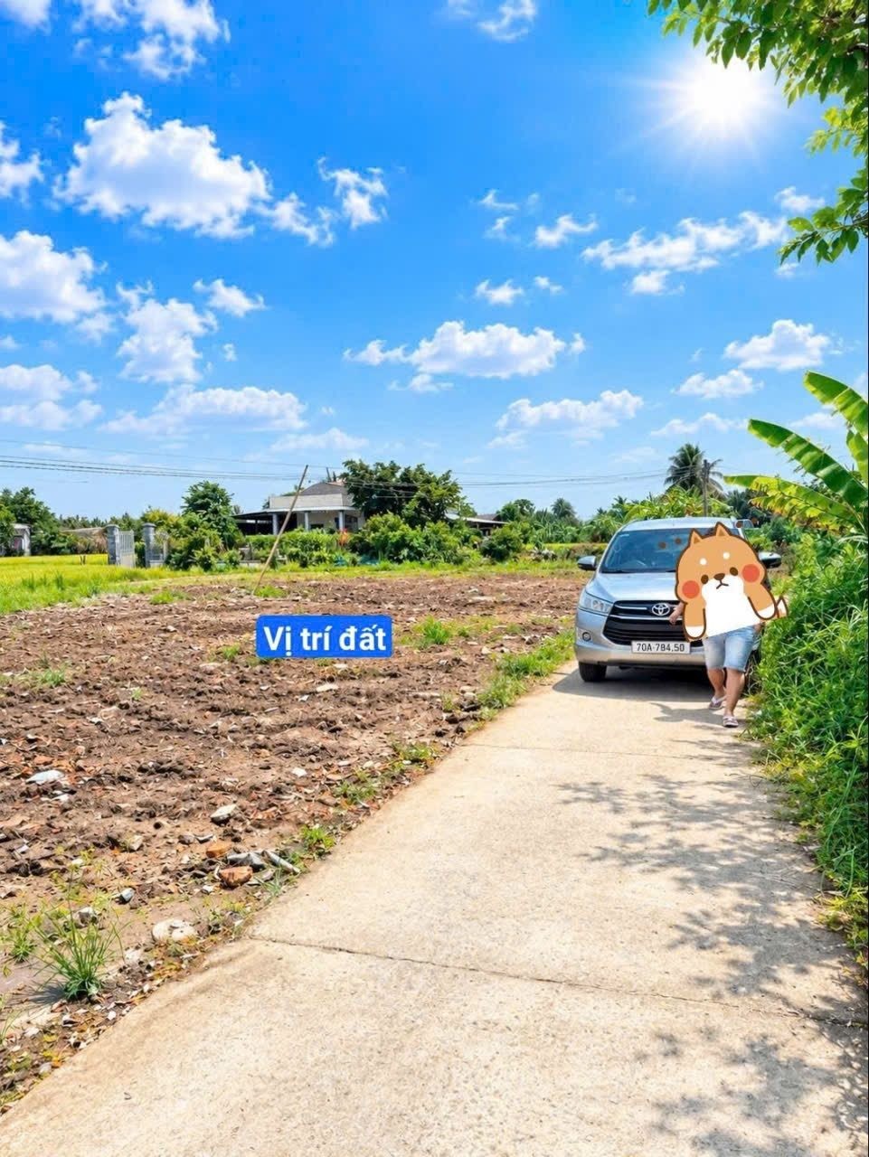 ~ 500m2 đất full thổ cư sát trường học đường tỉnh lộ 833 đất (rẻ nhất xã) VIP - Ảnh 6