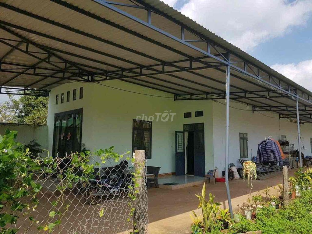 BÁN GẤP GIÁ RẺ,CÓ THÊM 1000m2 ĐẤT RUỘNG FULL giấy tờ.