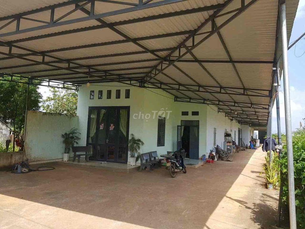 BÁN GẤP GIÁ RẺ,CÓ THÊM 1000m2 ĐẤT RUỘNG FULL giấy tờ.