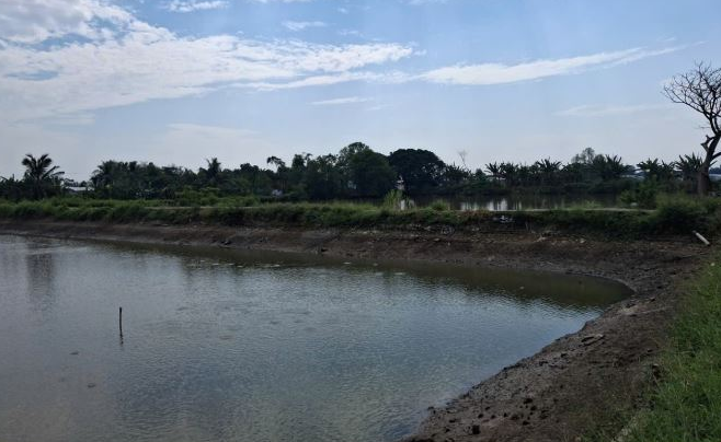 Bán đất nằm trong khu hầm nuôi cá gần nhà máy nước Vinh Hanh, Châu Thành, An Giang - Ảnh 1