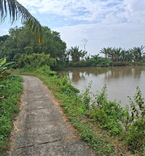 Bán đất nằm trong khu hầm nuôi cá gần nhà máy nước Vinh Hanh, Châu Thành, An Giang - Ảnh 2