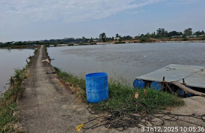 Bán đất nằm trong khu hầm nuôi cá gần nhà máy nước Vinh Hanh, Châu Thành, An Giang - Ảnh 3