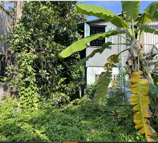 BÁN ĐẤT 291M2 FULL THỔ CƯ GIÁ CHỈ 3TY900 - LONG PHÚ, AN GIANG