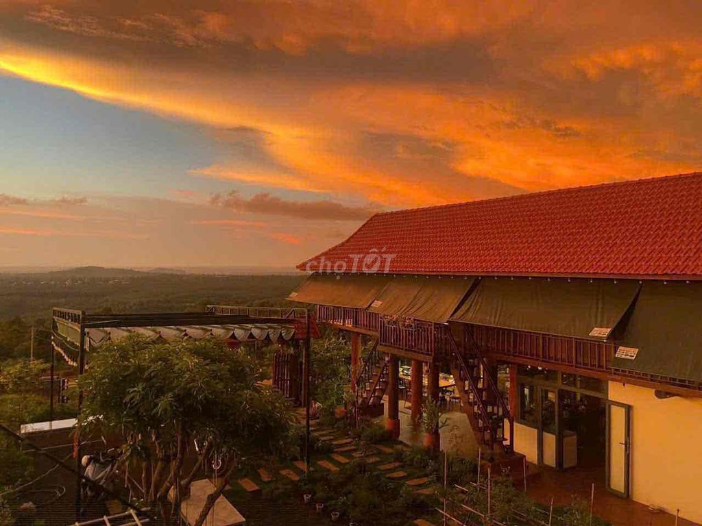 Homestay view đồi hoàng hôn cuối Nguyễn Hữu Thấu 17x20m - Ảnh 1