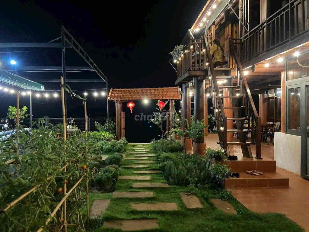 Homestay view đồi hoàng hôn cuối Nguyễn Hữu Thấu 17x20m - Ảnh 2
