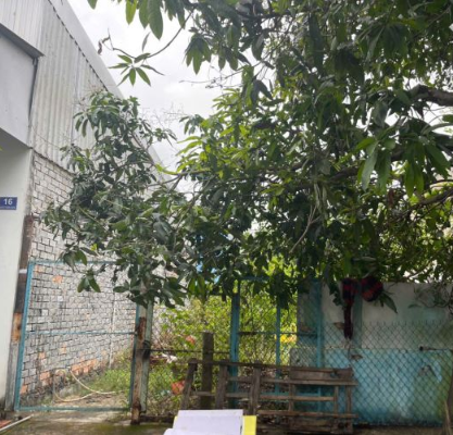 🔰 BÁN NỀN 90m² MẶT TIỀN NGUYỄN THƯỢNG KHÁCH – KDC XẺO TRÔM, MỸ PHƯỚC – GIÁ TỐT ĐẦU TƯ - Ảnh 2