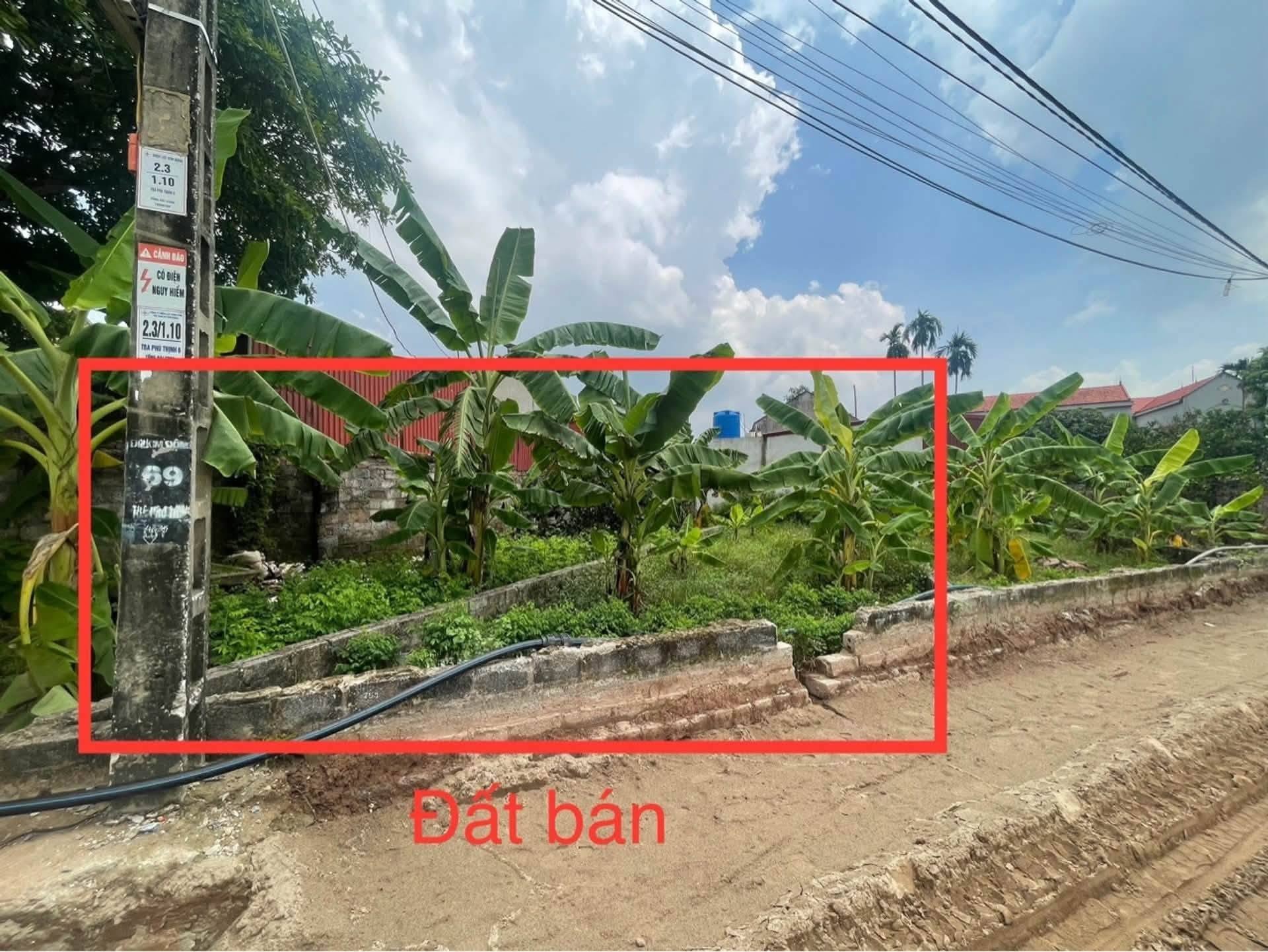 RUNG HOÀ, ĐỨC HỢP - Ô TÔ TRÁNH - Ảnh 4