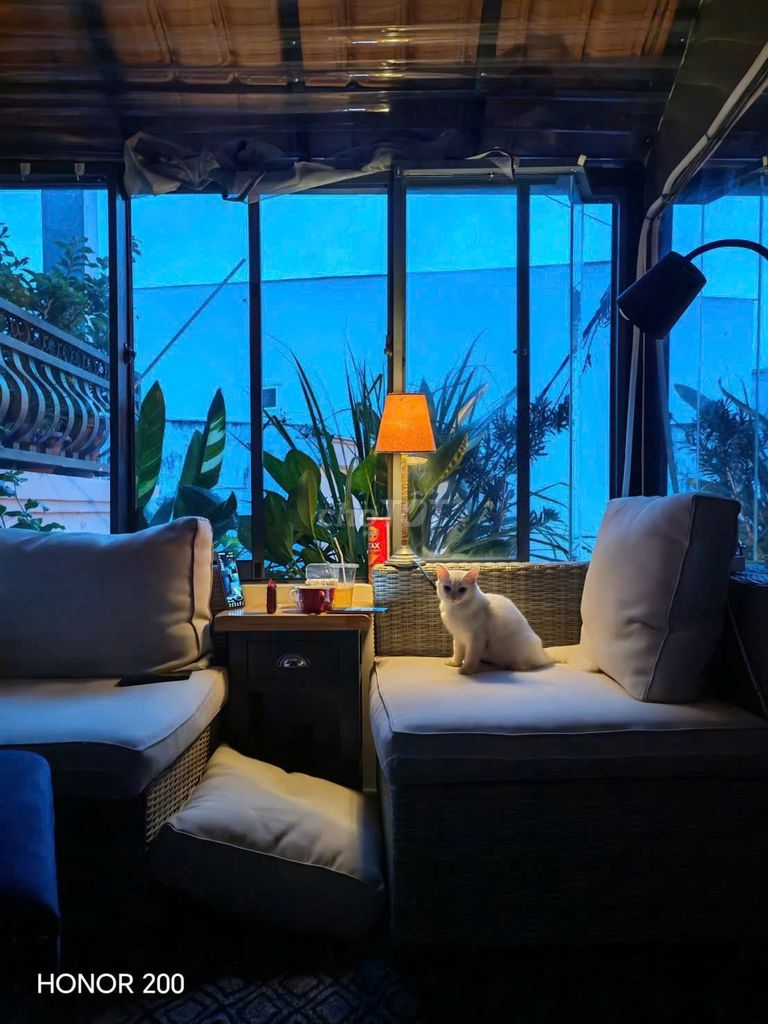 bán nhà(HOMES GẦN BIỂN) 84m2-3Tầng-3PN-hẽm 2/4-bắc nha trang-chỉ 5t4 - Ảnh 1