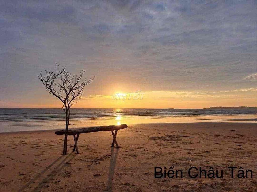 BÁN 5 LÔ ĐẤT BIỂN CHÂU TÂN ĐẸP NHẤT QUẢNG NGÃI CƠ HỘI VÀNG KHÔNG THỂ B - Ảnh 4