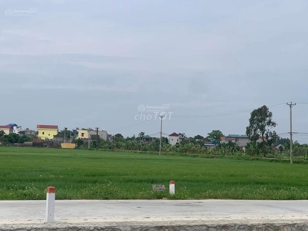 Bán đất Ninh Bình, ngay cao tốc, 2,8 tỷ, 110m2 - Ảnh 2