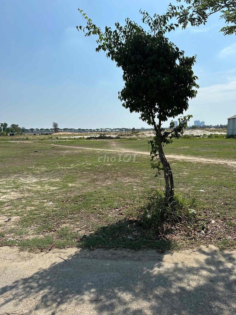 Đất kiệt mai đăng chơn. Gần trường Nguyễn Bỉnh Khiêm. giá rẻ - Ảnh 2
