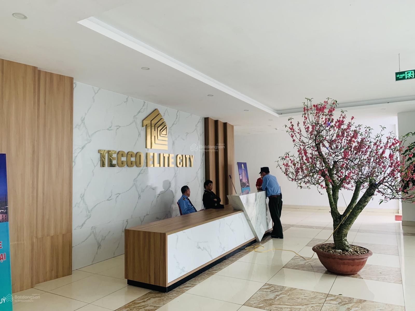 Quỹ hàng ngoại giao căn tòa A1 giá nét 2,2 tỷ căn 72m2 thanh toán 367tr ký HĐ trả giãn 10 năm