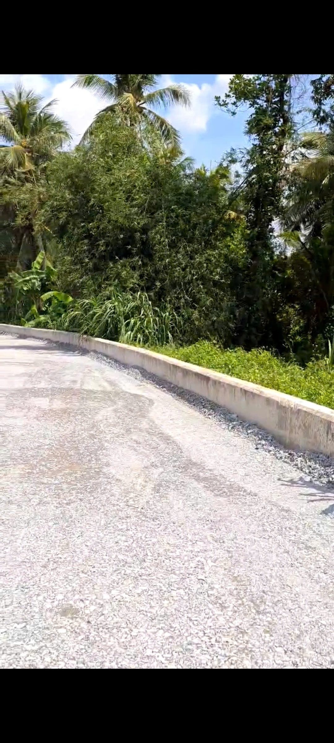 Bán Đất 5089m2 có sẵn 300 m2 thổ cư giá 68.9 tỷ tại Đường Đê Bao Nhị Bình 22 Xã Nhị Bình Huyện Hóc Môn TP. Hồ Chí Minh