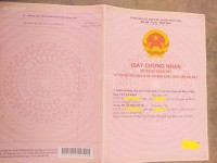 Bán gấp đất tại Trịnh Tú, 42 tỷ, 230m2, pháp lý đầy đủ