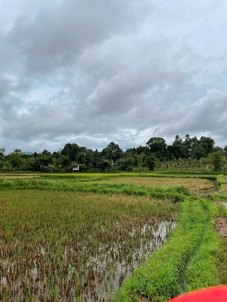 Bán đất hẻm Lý Thường Kiệt, đường bê tông, khu dân cư,