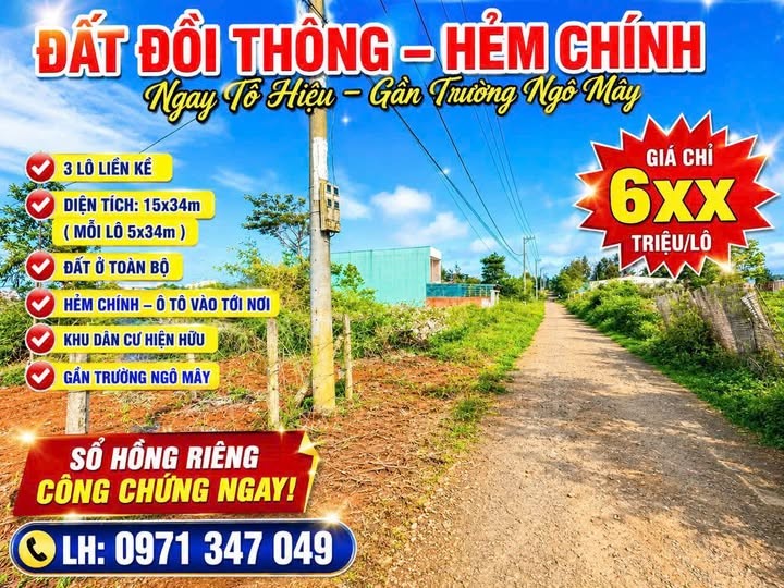🔥 ĐẤT ĐỒI THÔNG – HẺM CHÍNH GẦN TÔ HIỆU 🔥