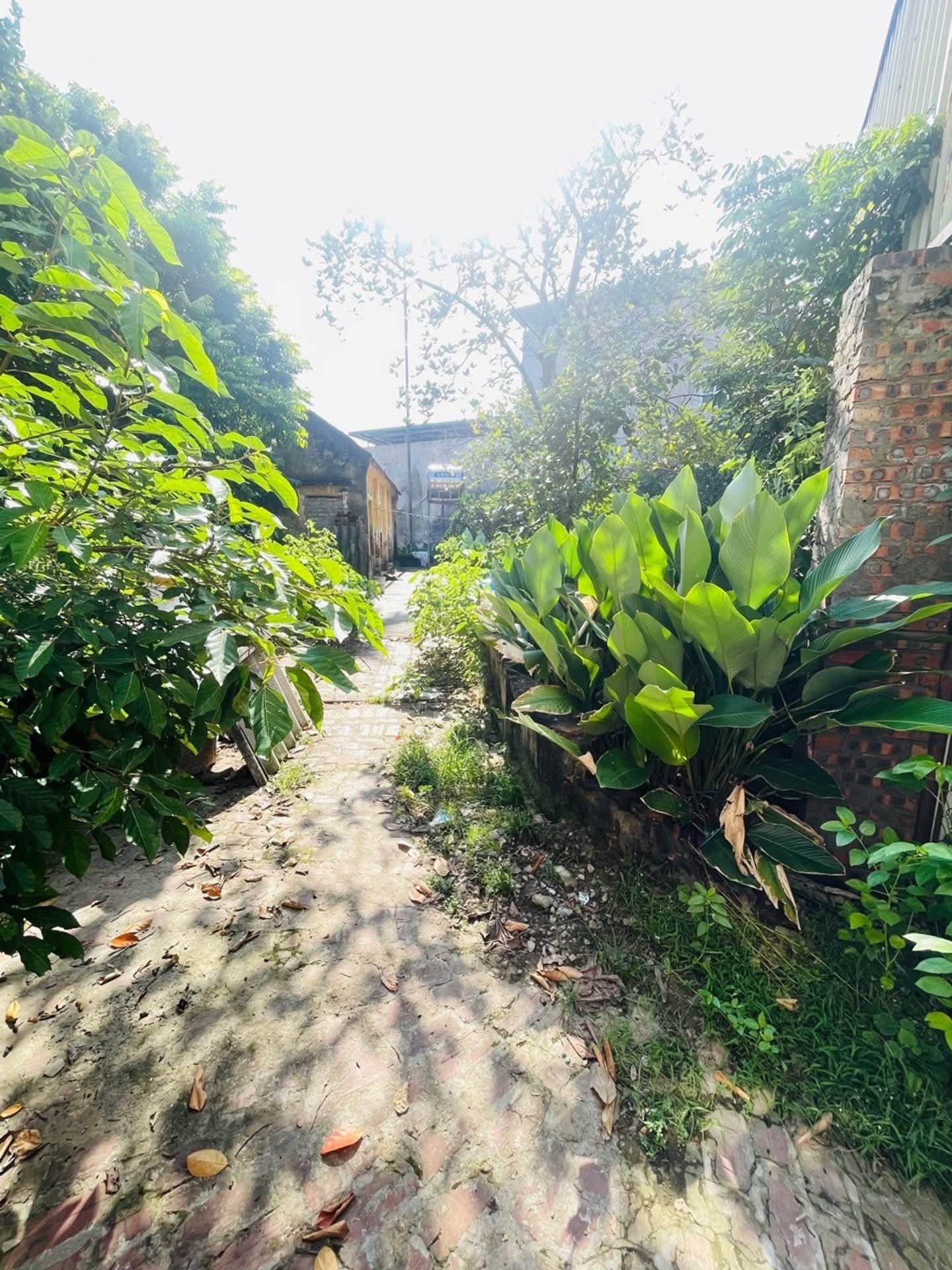 2 TỶ x - NHƯ QUỲNH - TUẤN DỊ - HƯNG YÊN .
