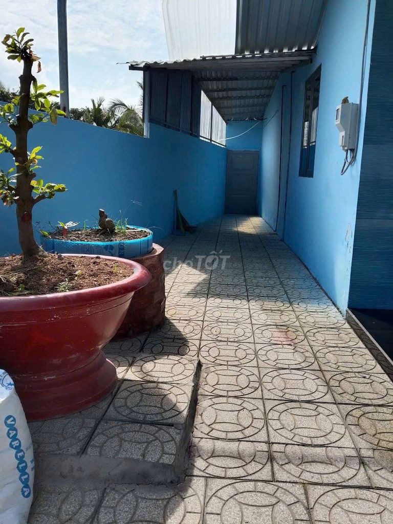 Nhà cấp 4 nội thất cao cấp cách quốc lộ 300m đường xe oto vô toi - Ảnh 12