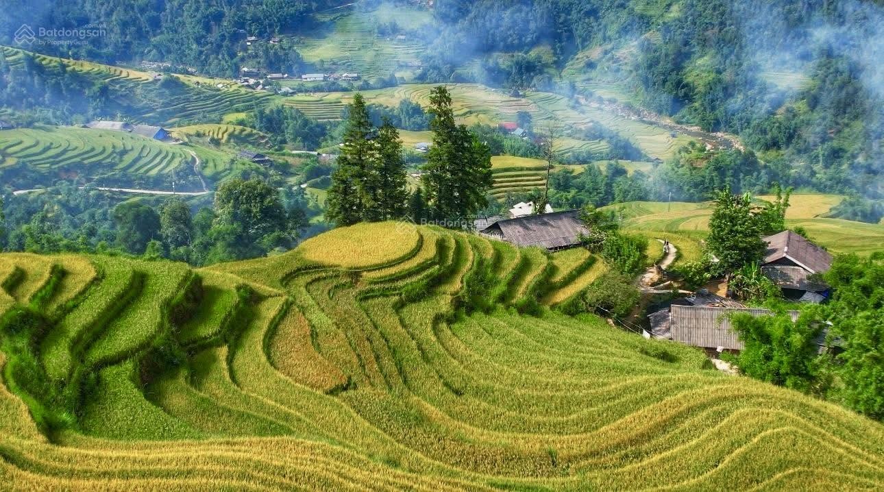 Bán đất mặt đường tỉnh lộ 152 xã Tả Van, Lào Cai - Ảnh 1