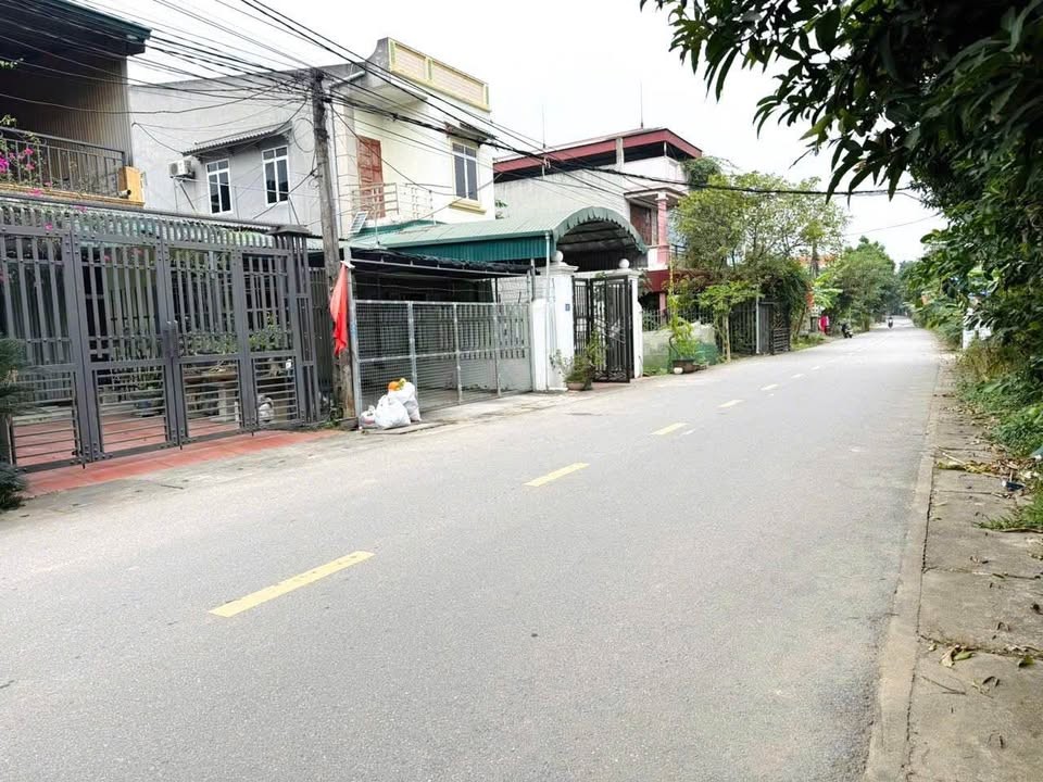 BDS Việt Trì Phú - Ảnh 2