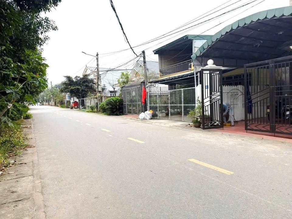 BDS Việt Trì Phú - Ảnh 3