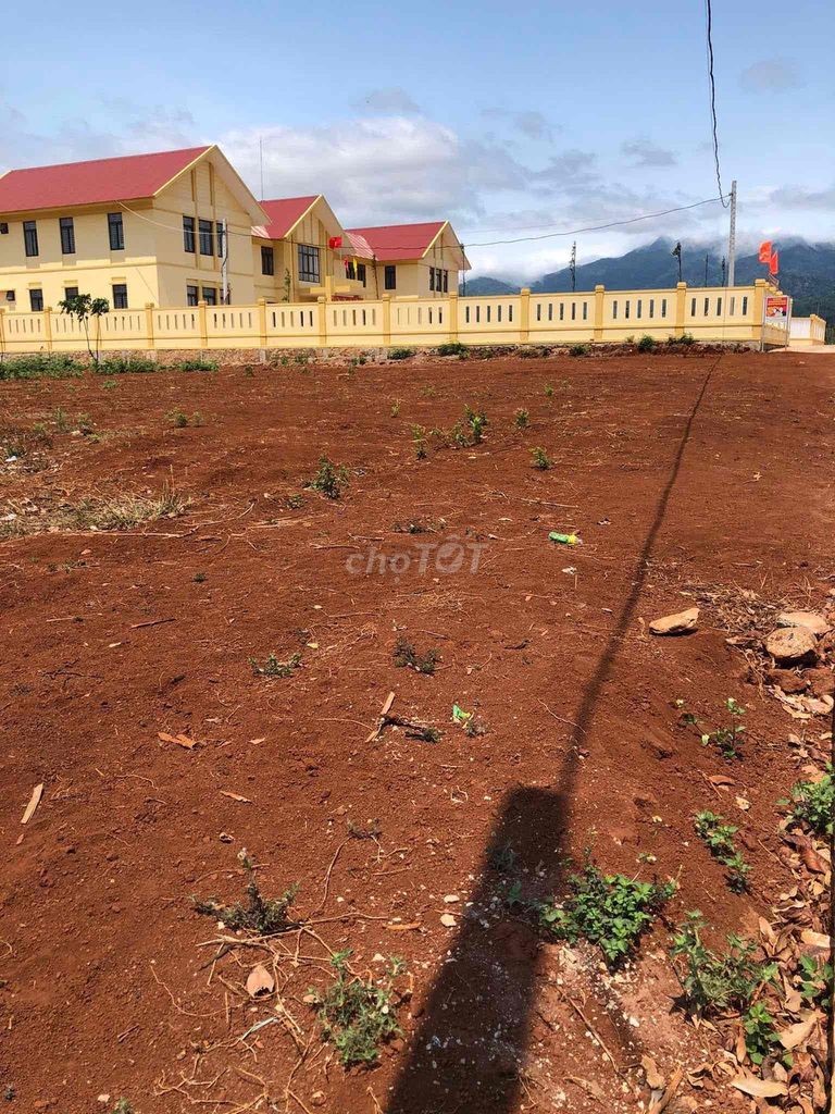 Bán đất nên gần UBND xã Hướng Phùng Quảng Trị. Diện tích 457m2 - Ảnh 1