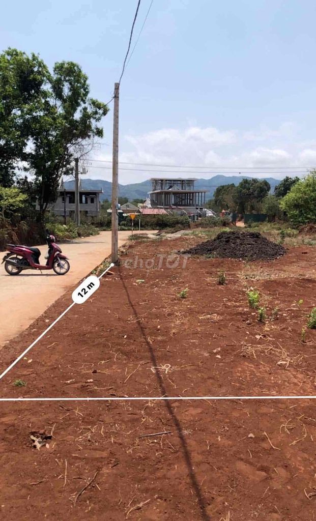 Bán đất nên gần UBND xã Hướng Phùng Quảng Trị. Diện tích 457m2 - Ảnh 3
