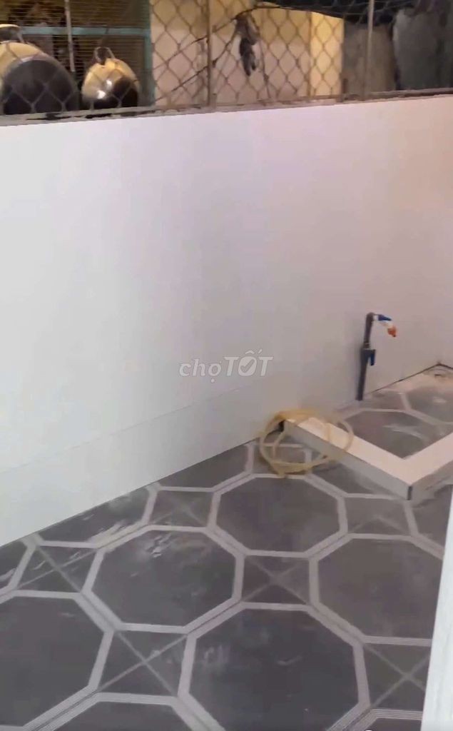 BÁN NHÀ TRỆT LẦU 4PN 2WC MỚI SƠN SỬA KDC 586 LỘ OTO GIÁ 2.75 TỶ - Ảnh 8