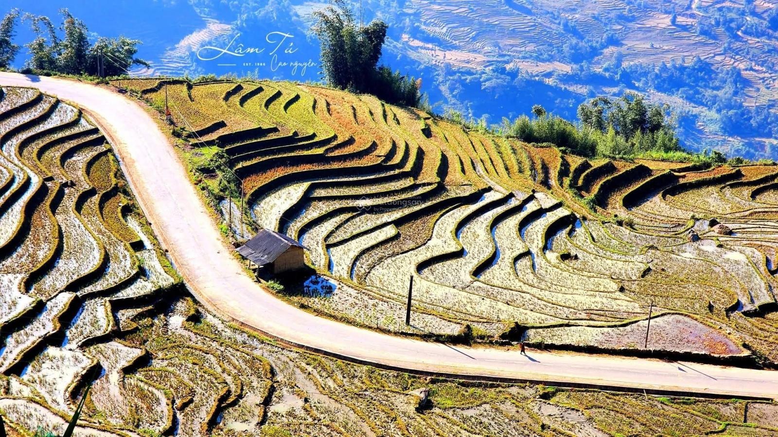 Bán 2ha đất trung tâm xã Y Tý, vị trí đẹp đất bằng phẳng, phù hợp làm Homestay, đón khách leo núi