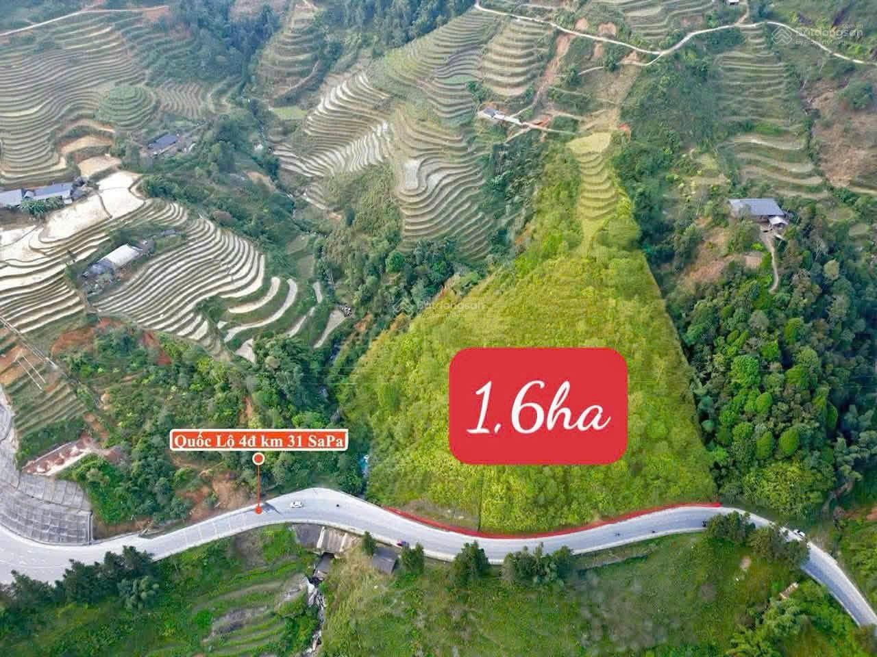 Chính chủ bán hơn 1,6ha đất hiếm có ngay MT Quốc lộ 4D - ngay Cầu 31 - Ảnh 2