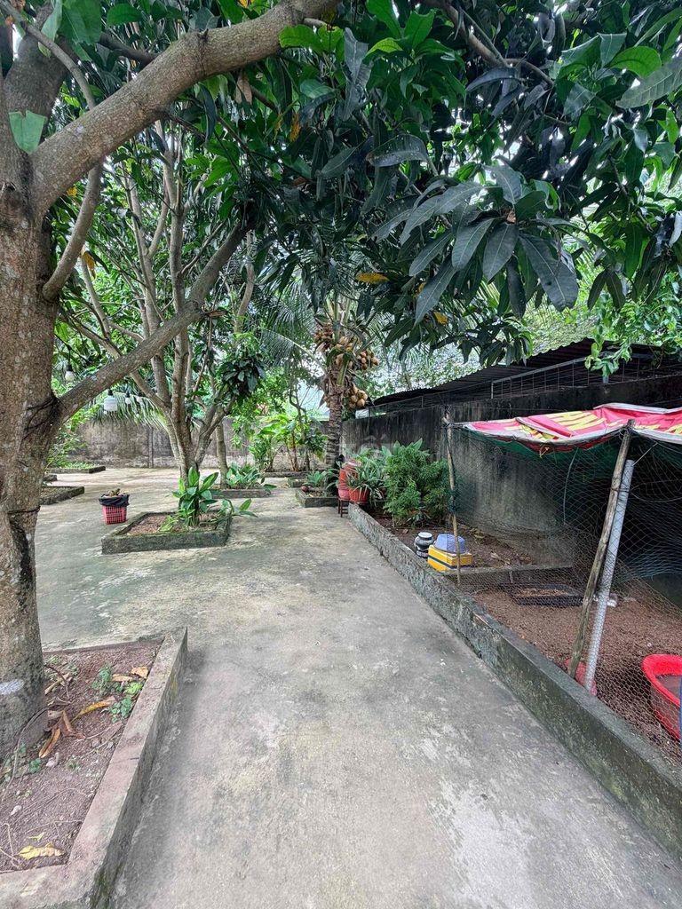 CHÍNH CHỦ BÁN NHÀ SÂN VƯỜN – 540M², TRUNG TÂM CẦN THƠ