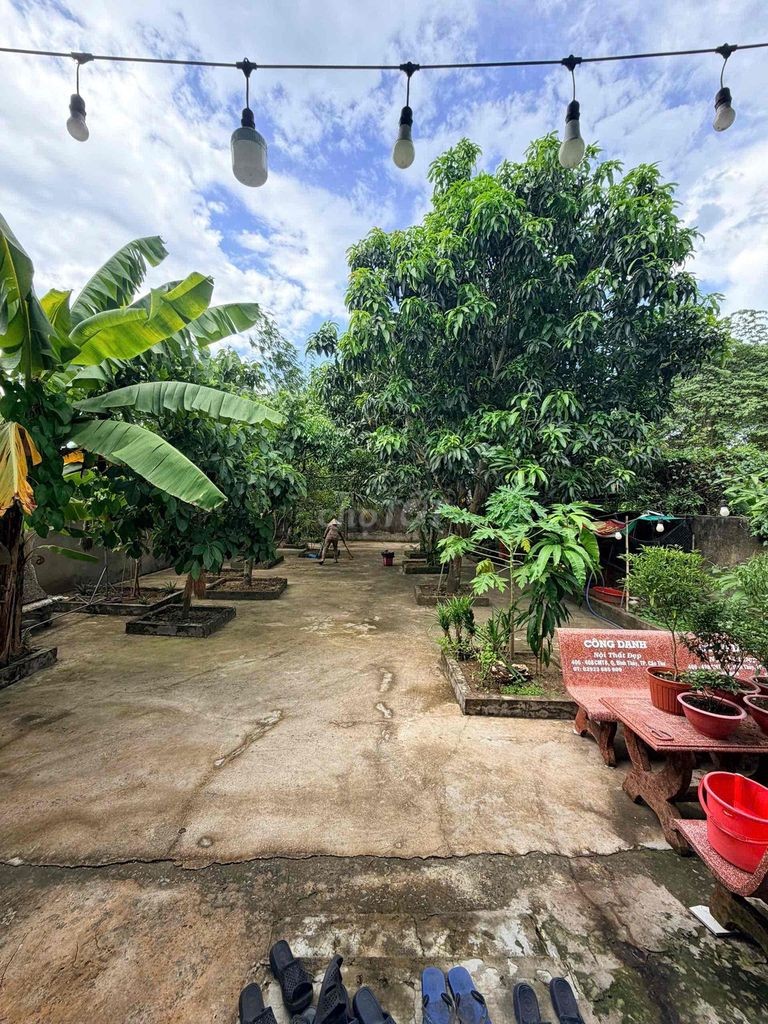 CHÍNH CHỦ BÁN NHÀ SÂN VƯỜN – 540M², TRUNG TÂM CẦN THƠ - Ảnh 8