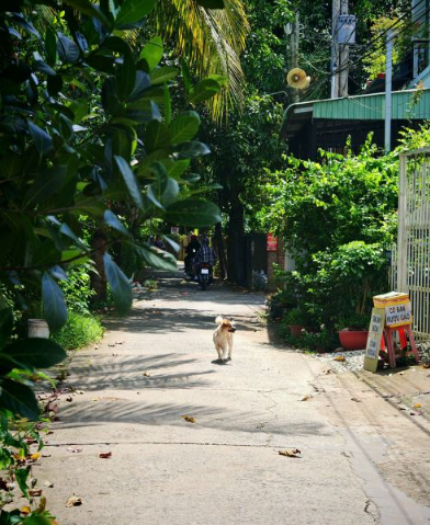 🔰 Bán Lô Đất Lớn Mặt Tiền Đường cặp Rạch Gòi Lớn Mỹ Quý - View Kênh! - Ảnh 4