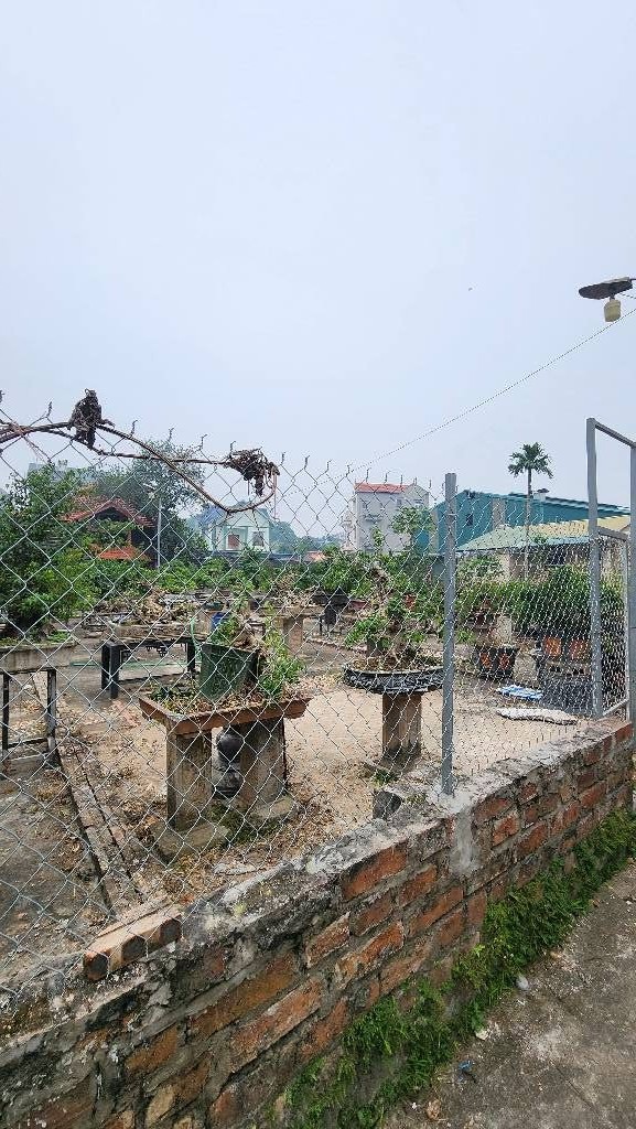 ĐẤT ĐẸP ,XUÂN QUAN-PHỤNG CÔNG, HÀNG XÓM ECOPARK, NGAY CẠNH BÁT TRÀNG, NHỈNH 4 ĐỒNG.