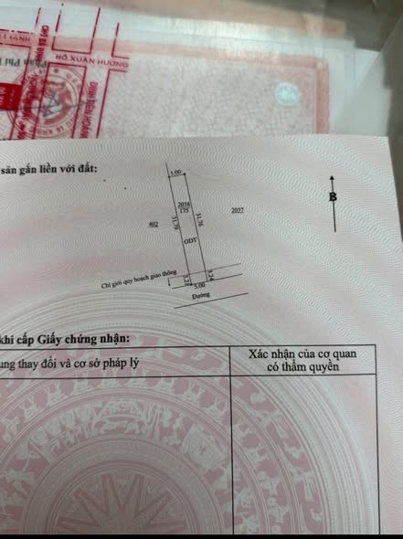 Cần bán lô đất tặng nhà tôn ở tạm thuộc hẻm nguyễn chí thanh - Ảnh 2