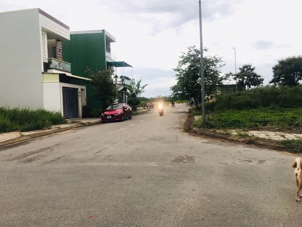 MẶT TIỀN LÝ THÁI TỔ KDC LÊ QUÝ ĐÔN - Ảnh 2