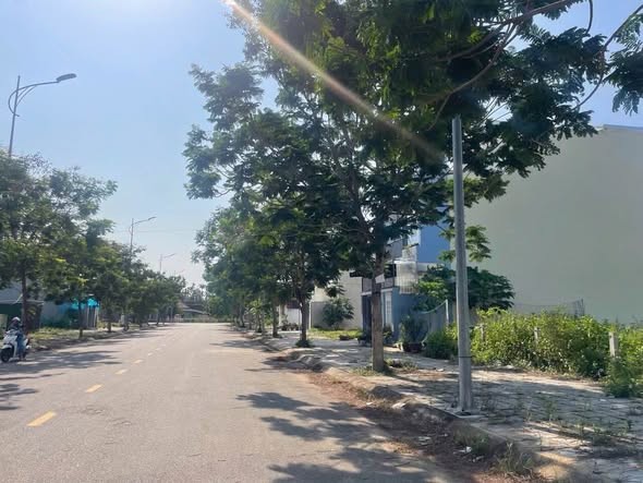 MẶT TIỀN LÝ THÁI TỔ KDC LÊ QUÝ ĐÔN - Ảnh 3