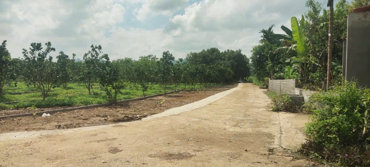 Bán Đất 177m2 có sẵn 50 m2 thổ cư giá 235 triệu tại Xã Bảo Hiệu Huyện Yên Thủy Hòa Bình - Ảnh 2