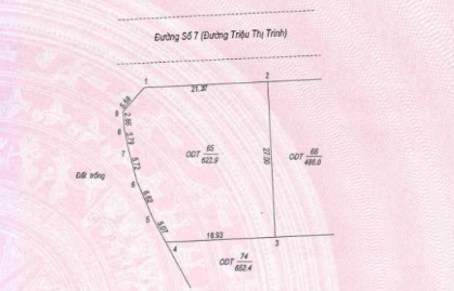 Bán nền biệt thự đẹp đường Triệu Thị Trinh, Tp Long Xuyên - Ảnh 2