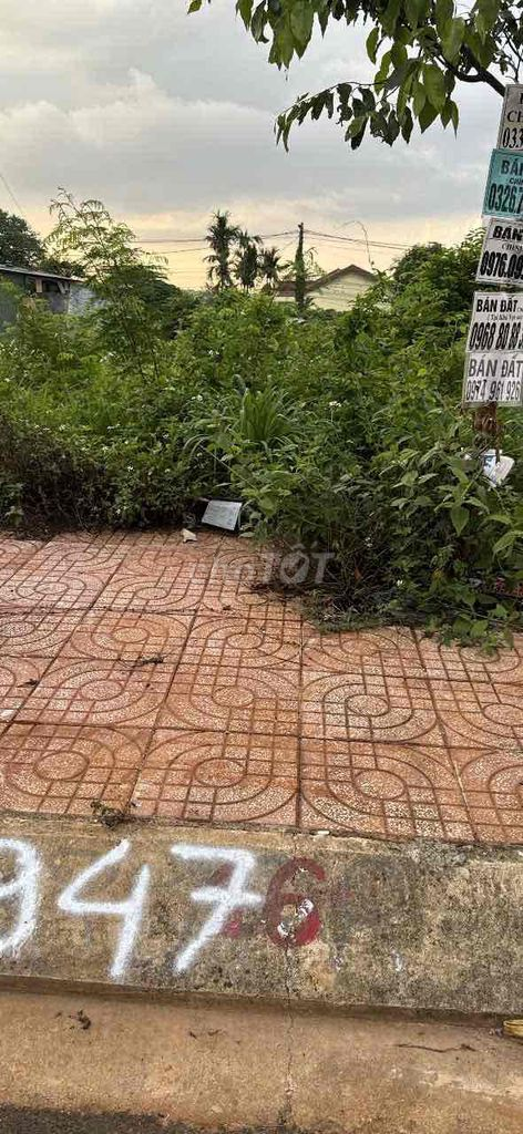 đất lê vụ