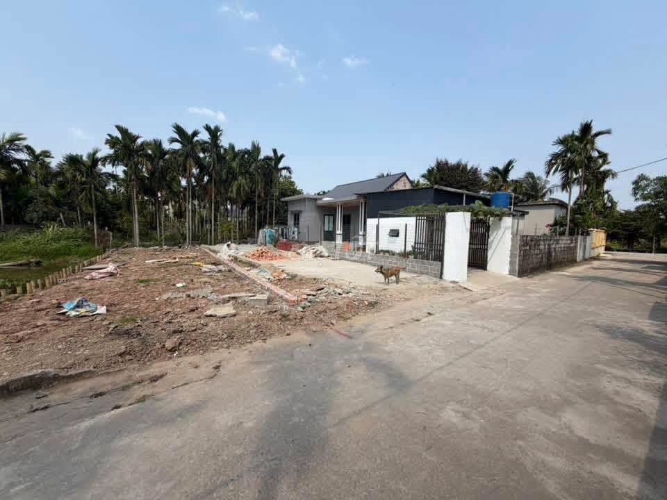 Bán đất 114m2 gần trường Tiểu học Kiến Thiết, Tiên Lãng - Ảnh 2