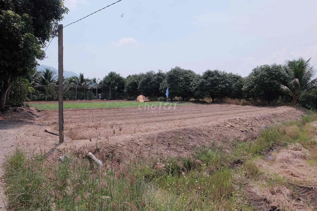 bán đất chính chủ khánh hòa - Ảnh 2