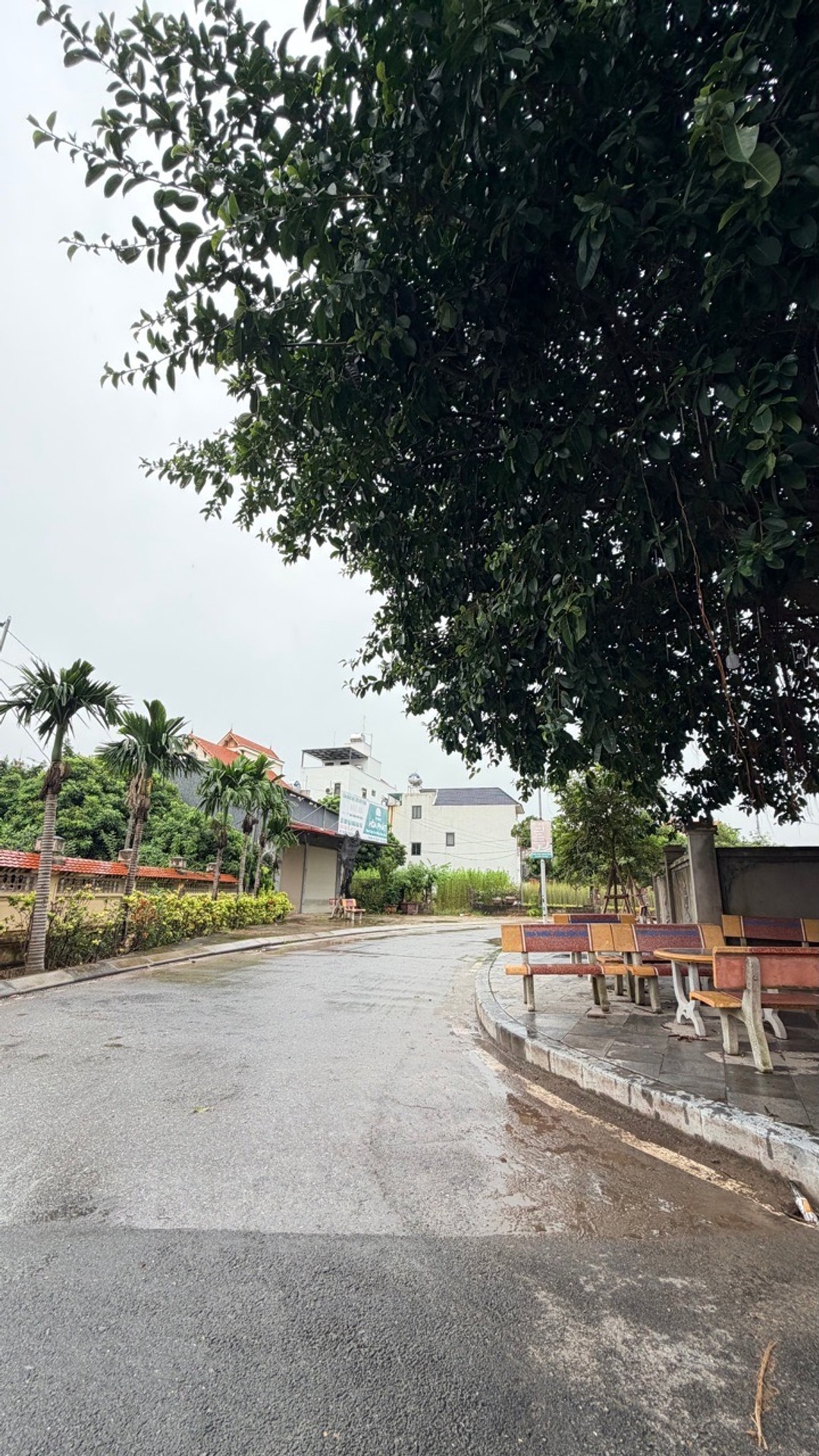 HÀNG HIẾM , CÔNG LUẬN-VĂN GANG, HÒNG XÓM ECOPARK- SÁT CẠNH ALUVIA. NHỈNH 3 TỶ XÍU. - Ảnh 3